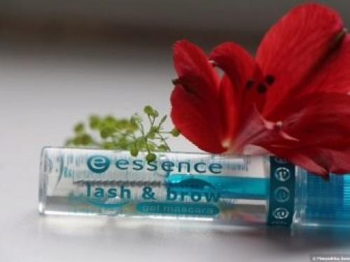 Особенности прозрачной туши и геля для ресниц. Зачем используют гель 01 Особенности прозрачной туши и геля для ресниц. Зачем используют гель 01