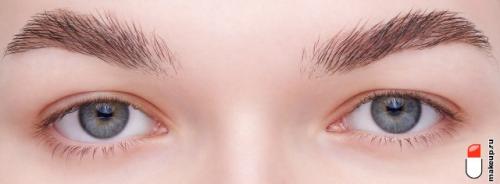 Прозрачная тушь для бровей. Тушь для бровей: обзор лучших