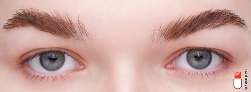 Прозрачная тушь для бровей. Тушь для бровей: обзор лучших