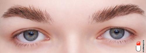 Прозрачная тушь для бровей. Тушь для бровей: обзор лучших