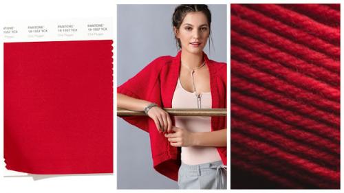 Какие основные цветовые гаммы доминируют в сезоне осень-зима 2025. ЦВЕТОВАЯ ПАЛИТРА ХОЛОДНОГО СЕЗОНА 2025. ВМЕСТЕ С PANTONE