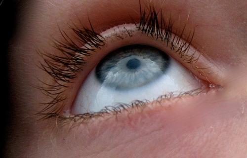 Причины выпадения нарощенных ресниц и уход за ними. Почему осыпаются наращённые ресницы? 11 Причины выпадения нарощенных ресниц и уход за ними. Почему осыпаются наращённые ресницы? 11