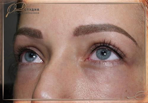 Перманентное напыление бровей на жирную и сухую кожу. Что такое пудровое напыление бровей 04
