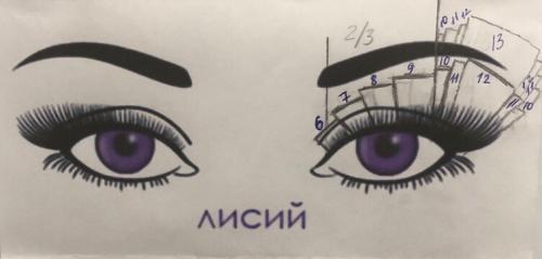 Лисий эффект изгиб д. Что необходимо учесть при подготовке к процедуре?