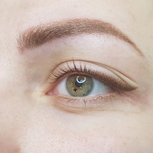 Растушевка бровей это. Растушевка или пудровые брови, что выбрать?