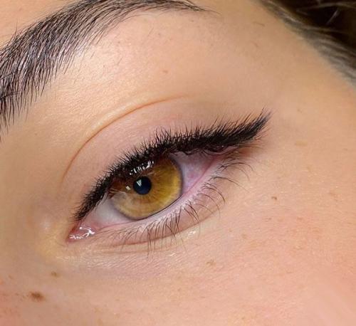 Кошачий эффект схема. Эффекты наращивания ресниц — схемы