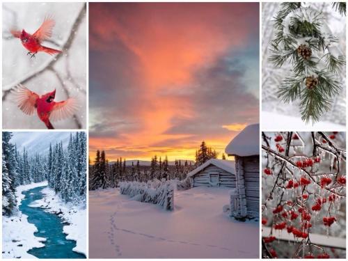 Темная Зима цветотип. Я наконец определилась! Глубокая/Темная ЗИМА (Deep/Dark Winter)