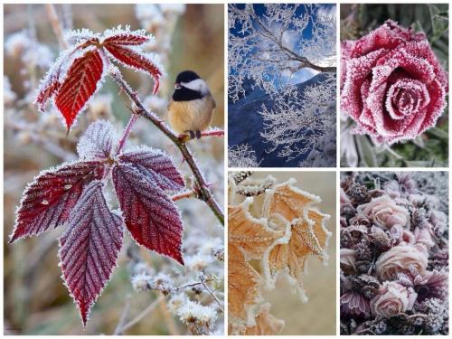 Темная Зима цветотип. Я наконец определилась! Глубокая/Темная ЗИМА (Deep/Dark Winter)