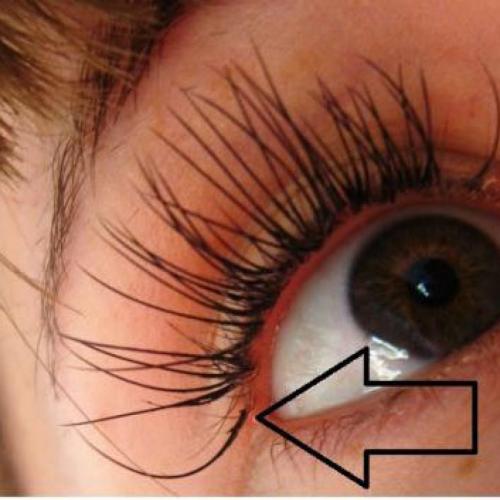 Нарощенные ресницы торчат в разные стороны, что делать. ТОП-14 проблем с нарощенными ресницами: причины и последствия, что делать