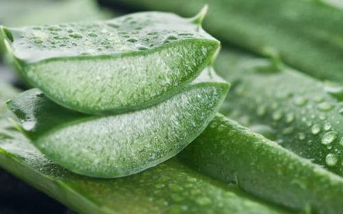 Можно ли использовать маски для ресниц на основе натуральных ингредиентов. Маски на основе алоэ