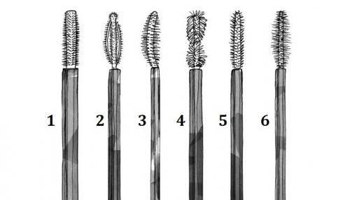 Как подвести глаза тенями снизу. Эффект туши зависит от вида щеточки