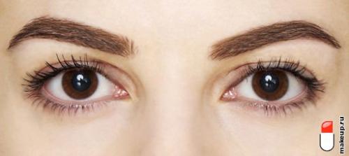 Все о бровях для бровиста. Идеальные формы бровей в 2022-2023 году: тренды и советы бровистов