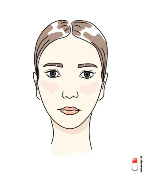 Все о бровях для бровиста. Идеальные формы бровей в 2022-2023 году: тренды и советы бровистов