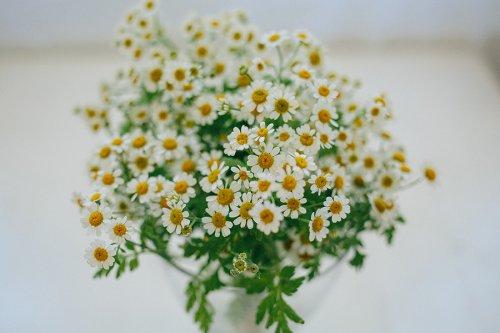 Не растут брови после татуажа. Как быстро отрастить брови после татуажа