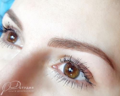 Сколько заживает татуаж бровей. Проявление цвета после татуажа бровей 05