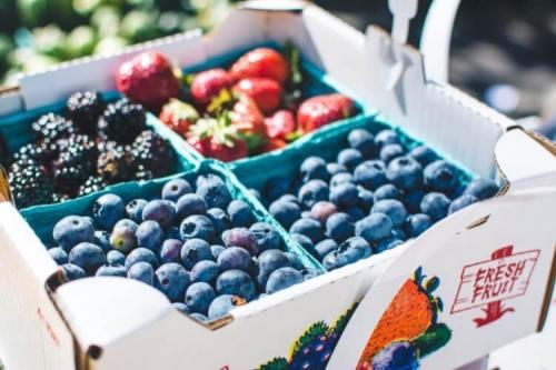 Как избежать проблем срокоустойчивости продуктов. Найден способ продлить срок годности фруктов на неделю