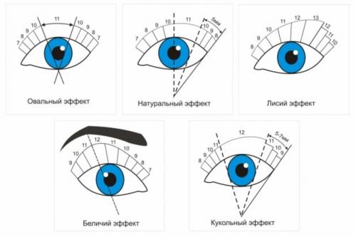Беличий эффект наращивания ресниц. Что представляет собой беличий эффект