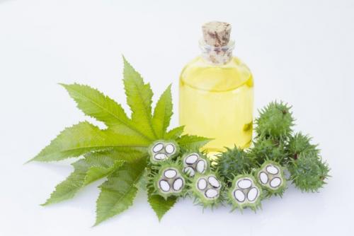 Как снять нарощенные ресницы подсолнечным маслом. Растительные масла