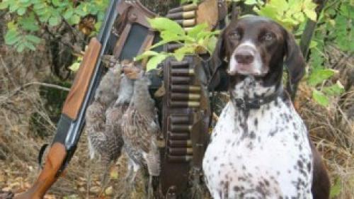 Уникальные места для охоты на редкую дичь 02