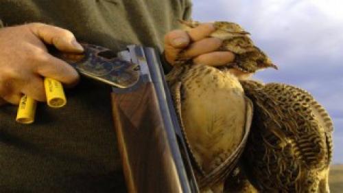 Уникальные места для охоты на редкую дичь 03 Уникальные места для охоты на редкую дичь 03