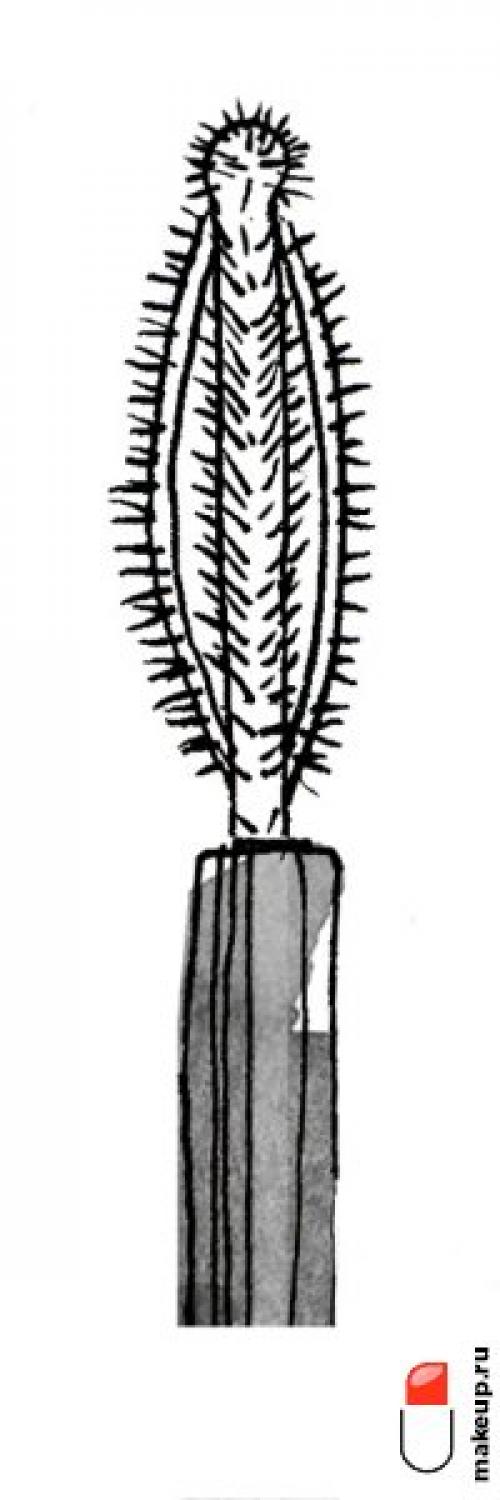Какие инструменты необходимы для идеального нанесения туши. Как выбирать тушь по форме кисточки?