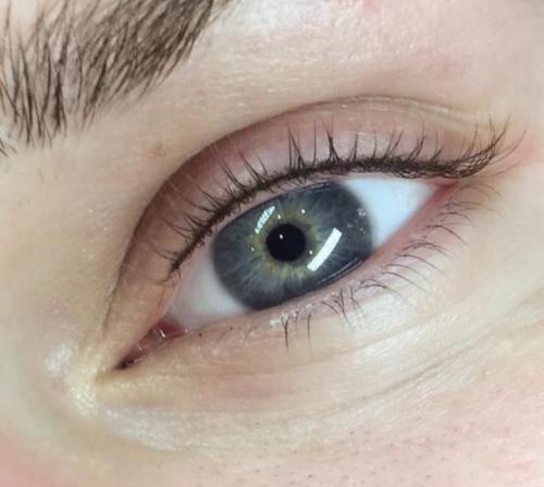 Межресничный татуаж до и после. Татуаж глаз: межресничный татуаж глаз, стрелки на глазах