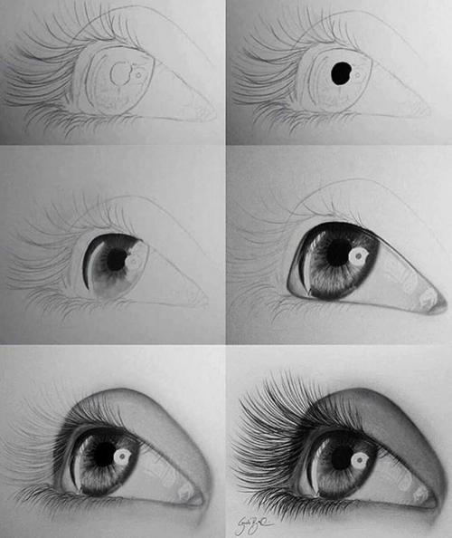 Шаблон лица для рисования. Как нарисовать лицо человека поэтапно карандашом: интересный мастер-класс для начинающих