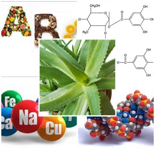 Как сделать кожу лица идеальной за неделю. Идеальная кожа лица после 30 лет за неделю: фитотерапия, кремы, гели, скрабы, маски, уход в домашних условиях