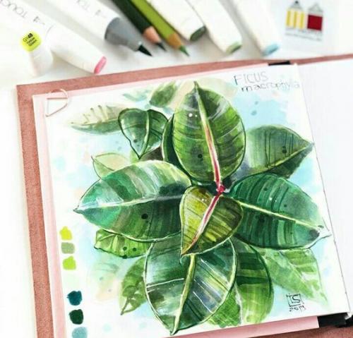 Лайфхаки для рисования фломастерами. Скетчинг и скетчи — 10 уроков маркерами для начинающих