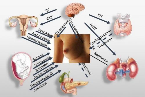 Боли во время месячных в кишечнике и желудке. Как справиться с запором до во время и после месячных 01 Боли во время месячных в кишечнике и желудке. Как справиться с запором до во время и после месячных 01