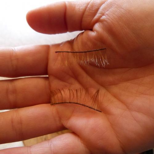 Как сделать накладные ресницы в домашних.. Длинные и густые реснички — делаем накладные ресницы в домашних условиях. 20 фото создания красивых ресниц 20 Как сделать накладные ресницы в домашних.. Длинные и густые реснички — делаем накладные ресницы в домашних условиях. 20 фото создания красивых ресниц 20