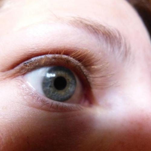 Как сделать накладные ресницы в домашних.. Длинные и густые реснички — делаем накладные ресницы в домашних условиях. 20 фото создания красивых ресниц 23 Как сделать накладные ресницы в домашних.. Длинные и густые реснички — делаем накладные ресницы в домашних условиях. 20 фото создания красивых ресниц 23