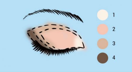 Легкий макияж пошагово. Пошаговый макияж для начинающих: советы и рекомендации