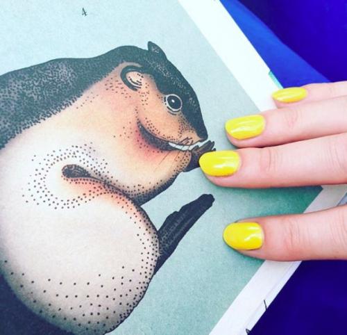 Каким цветом накрасить ногти. Лак для ногтей от А до Я