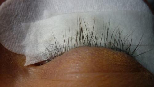 Как сделать завивку ресниц в домашних условиях. Как подкрутить ресницы без щипчиков? 11 Как сделать завивку ресниц в домашних условиях. Как подкрутить ресницы без щипчиков? 11