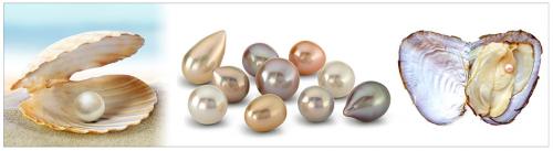 Целебные свойства жемчуга для кожи лица. Как «работает» жемчуг на благо красоте? 01 Целебные свойства жемчуга для кожи лица. Как «работает» жемчуг на благо красоте? 01