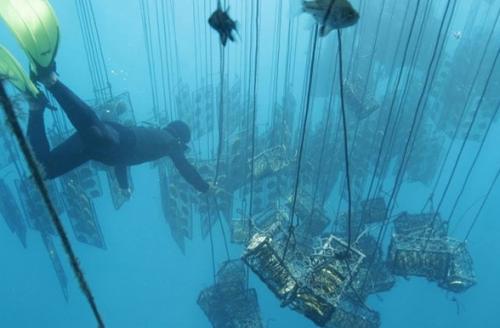 Тонкости ухода за жемчугом. Враг жемчуга —, как правильно хранить изделия в домашних условиях. 08 Тонкости ухода за жемчугом. Враг жемчуга —, как правильно хранить изделия в домашних условиях. 08