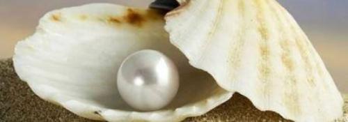 Жемчуг в ракушке. Виды жемчужного промысла в мире
