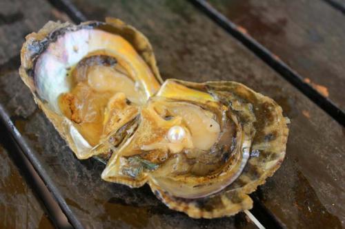 В каких ракушках есть жемчуг. Как образуется жемчуг в раковине