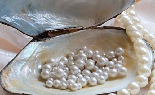 Жемчуг культивированный и искусственный. Как появился жемчуг?