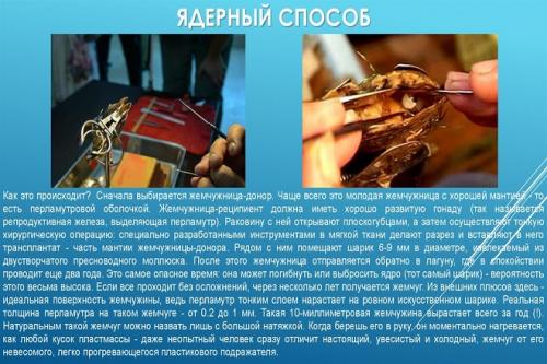 Что такое синтетический жемчуг. ЧТО ЭТО ТАКОЕ И В ЧЕМ ИЗЮМИНКА