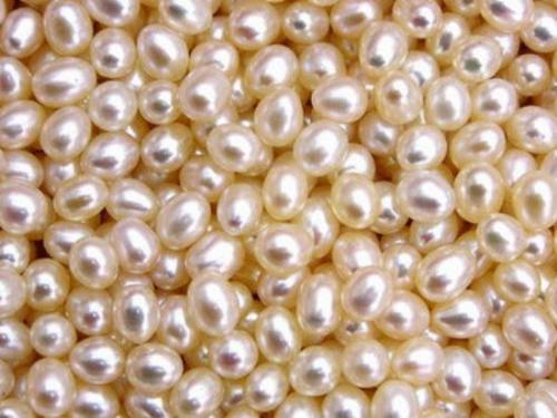 Что такое жемчуг. История и происхождение