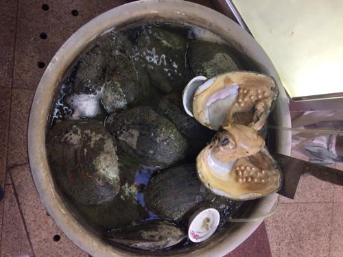 Какие моллюски образуют жемчуг. Какие моллюски продуцируют жемчуг