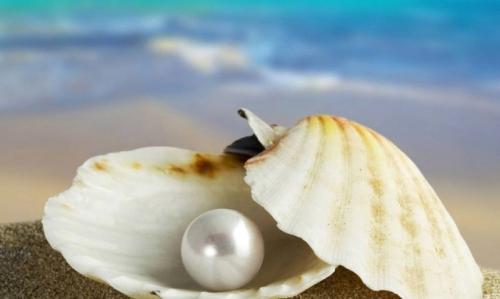 Жемчуг культивированный и искусственный. Как появился жемчуг?