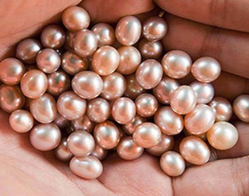 Сколько стоит жемчуг. Сколько стоит настоящий жемчуг?