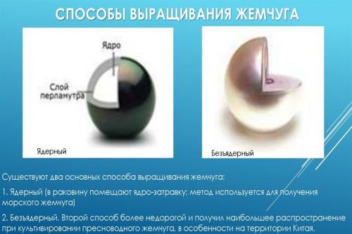 Что такое синтетический жемчуг. ЧТО ЭТО ТАКОЕ И В ЧЕМ ИЗЮМИНКА