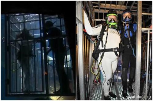 Астахов и Миронов связали себя узами брака в Германии: необычная свадьба 06 Астахов и Миронов связали себя узами брака в Германии: необычная свадьба 06