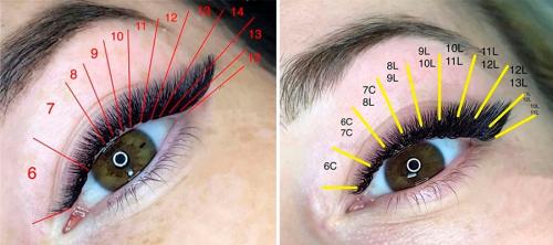 Лисий эффект изгиб д. «Мне, пожалуйста, Лису»
