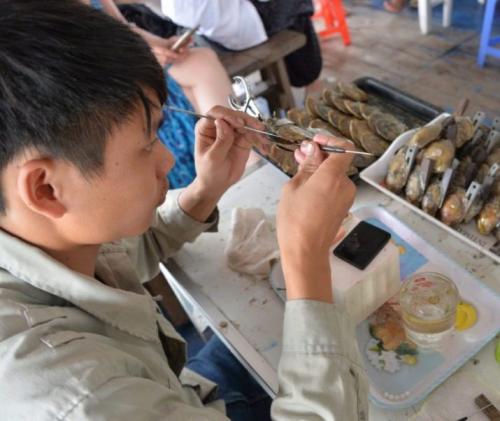 Что нужно знать о жемчуге. Как добывают? 03 Что нужно знать о жемчуге. Как добывают? 03