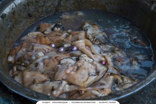 Умирает ли моллюск когда достают Жемчуг. Красота в грязной луже Как добывают Жемчуг